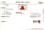 Load image into Gallery viewer, 5.91/Carat Natural Triangular Red Coral (1800)
