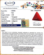 Load image into Gallery viewer, 505 Ratti Italian Red Coral-(1054)
