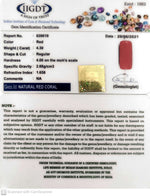 Load image into Gallery viewer, 4.30/CT Natural Red Coral With Govt. Lab Certificate-828619