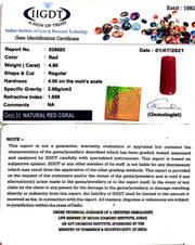 5.32 Ratti italian Red Coral