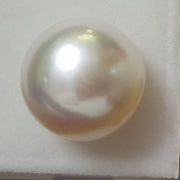 FRESH WATER PEARL-(277)
