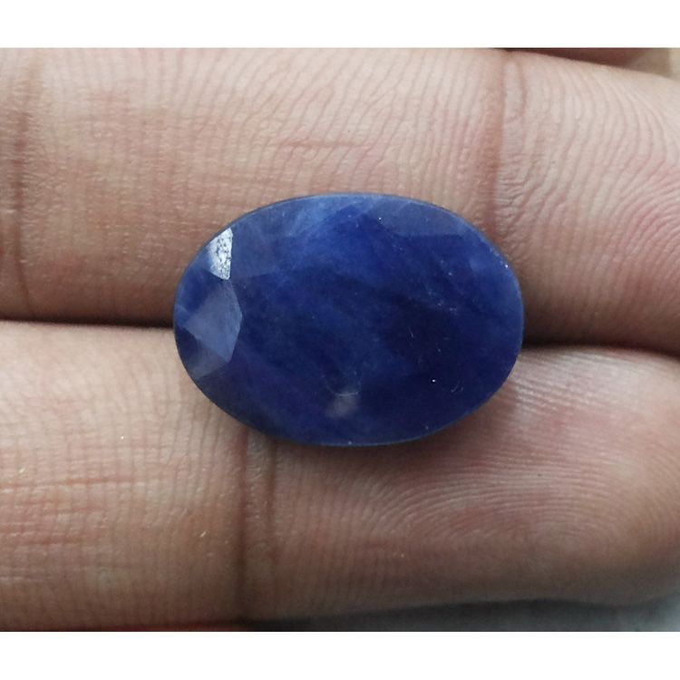 Neelam Stone-(2331)