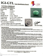 Load image into Gallery viewer, 3.93/CT Natural Panna Stone with Govt. Lab Certificate-88491