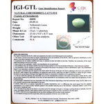 Load image into Gallery viewer, Natural Chrysoberyl Cat&#39;s Eye
