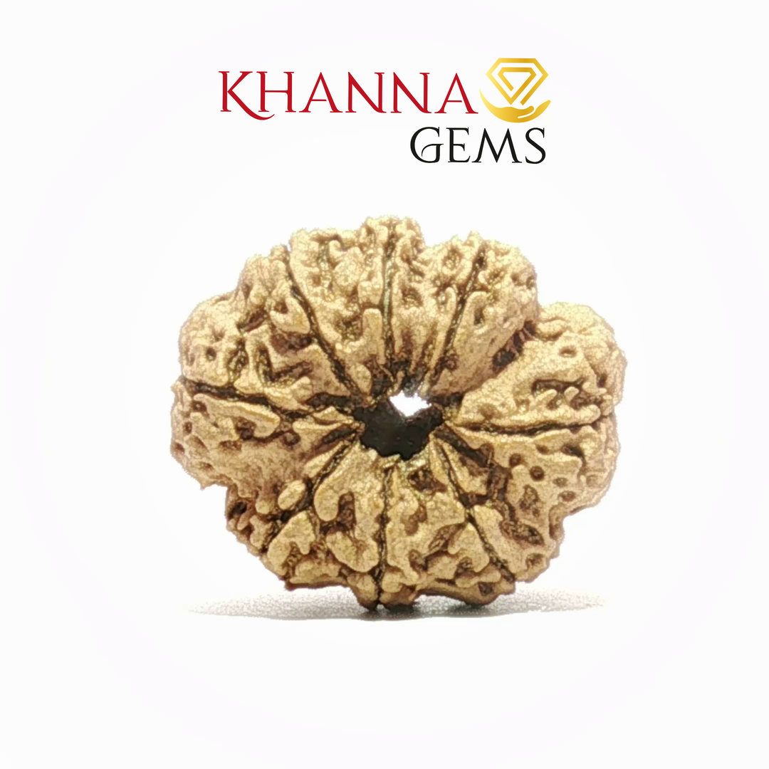 8 MUKHI NEPALI RUDRAKSHA