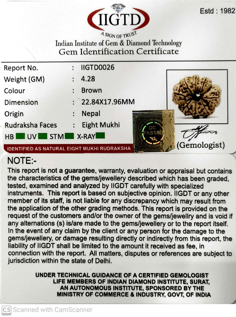 8 MUKHI NEPALI RUDRAKSHA