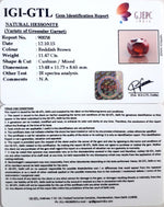 Load image into Gallery viewer, 12.73 Ratti Natural Govt. Lab Certified Ceylonese Gomed-(2100)
