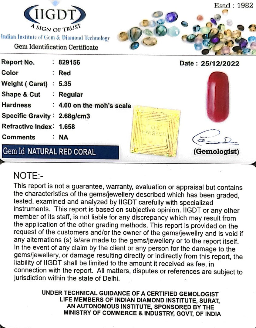 5.35/Carat Natural Cylindrical Red Coral-943