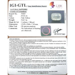 Load image into Gallery viewer, Pukhraj-(3441)
