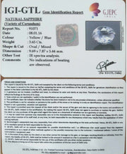 3.65/CT Natural Pitambari Sapphire with Govt Lab Certificate-91071