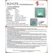 5.03/CT Natural Panna Stone with Govt. Lab Certificate (8991)