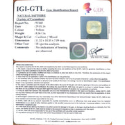 9.51 Ratti Natural yellow sapphire with Govt Lab Certificate-(YELSA9T)