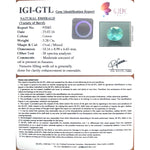 Load image into Gallery viewer, 3.64 Ratti Natural Panna Stone with Govt. Lab Certificate (56610)
