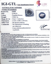 21.80 Ratti Star Sapphire with Govt. Lab Certificate-(5661)