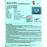 9.07 Natural Pitambari Neelam with Govt Lab Certified-(34410)