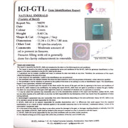 8.60/CT Natural Panna Stone with Govt. Lab Certificate (8991)