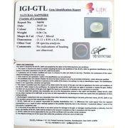 6.73 Ratti yellow sapphire with Govt Lab Certificate-(2100)