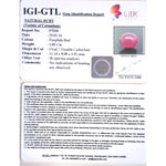 Load image into Gallery viewer, 6.50 Ratti Natural New Burma Ruby with Govt. Lab Certificate-(12210)
