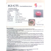 3.26 Ratti Natural Mozambique Ruby with Govt. Lab Certificate-(12210)