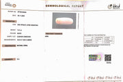 7.51/CT White Coral with Govt. Lab Certified (1500)