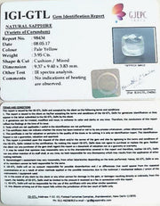 3.95/CT Natural Pitambari Sapphire with Govt Lab Certificate-98434