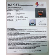 Ceylonese Gomed-(2100)