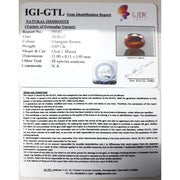 Ceylonese Gomed-(1100)