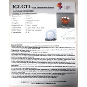 Ceylonese Gomed-(1100)