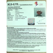 Ceylonese Gomed-(1100)