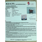 Load image into Gallery viewer, Ceylonese Gomed-(1100)
