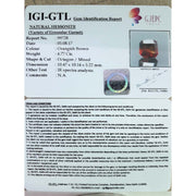 Ceylonese Gomed-(1100)