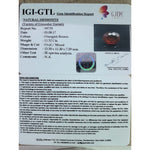 Load image into Gallery viewer, Ceylonese Gomed-(1221)
