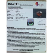 Ceylonese Gomed-(1221)