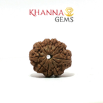 Load image into Gallery viewer, 9 MUKHI NEPALI RUDRAKSHA