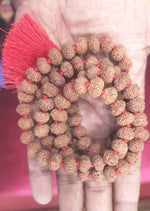 Load image into Gallery viewer, NINE MUKHI RUDRAKSHA MALA (3400)
