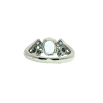 Load image into Gallery viewer, 3.20/GM  BLUE TOPAZ BLUE SAPPHIRE RING Earrings - G0693