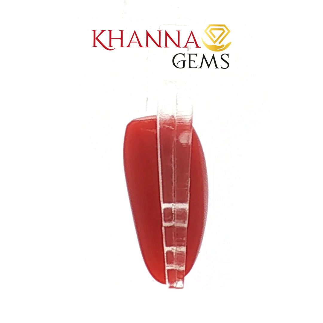 5.84/CT Natural Red Coral With Govt. Lab Certificate-10833D43736