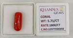 Load image into Gallery viewer, 5.71/CT Natural Red Coral With Govt. Lab Certificate-12377D50202