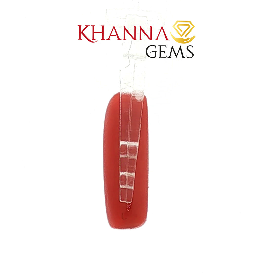4.30/CT Natural Red Coral With Govt. Lab Certificate-828619