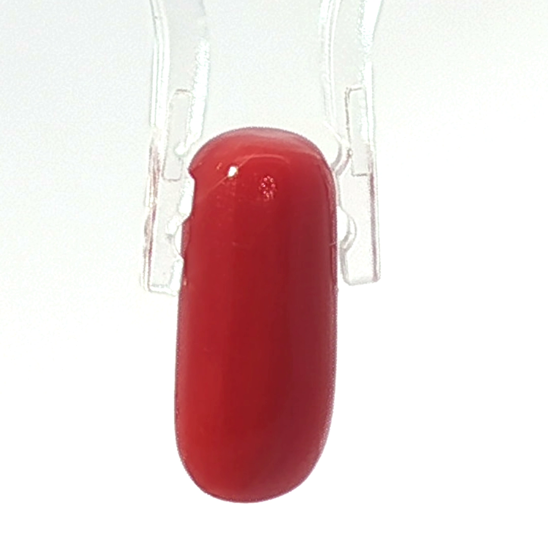 7.36/CT Natural Red Coral With Govt. Lab Certificate