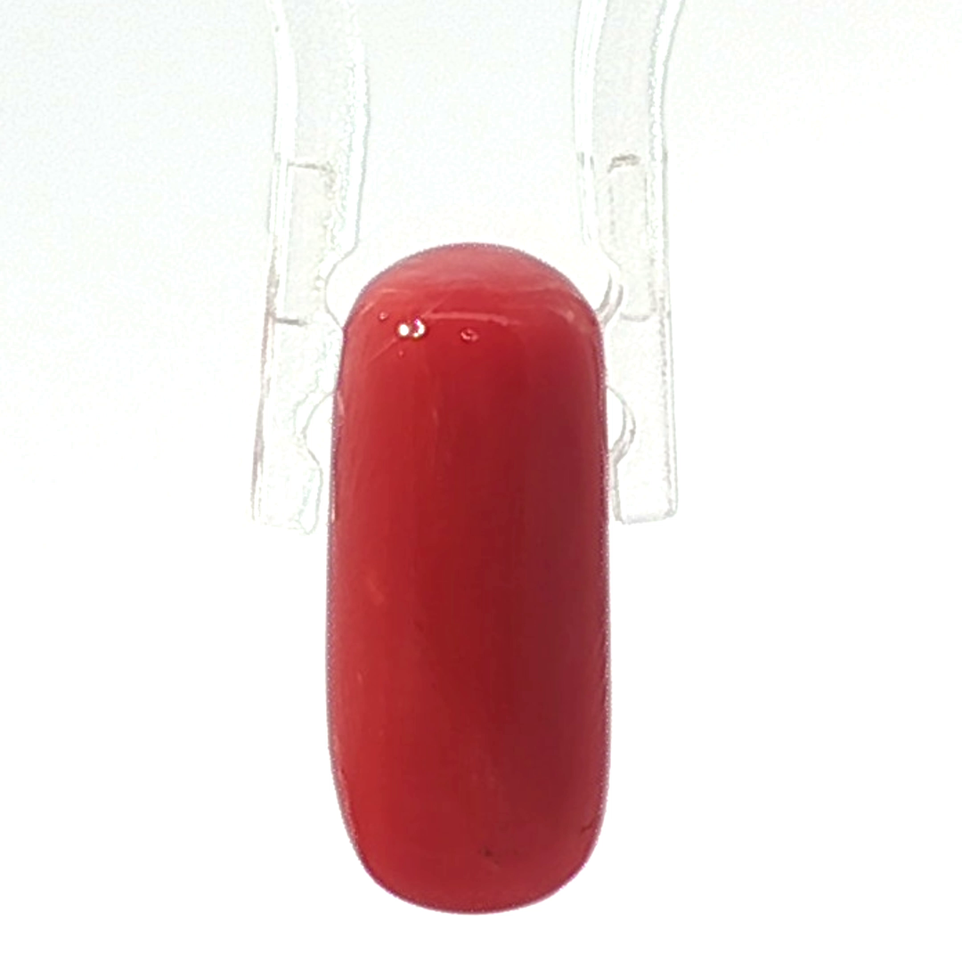7.36/CT Natural Red Coral With Govt. Lab Certificate
