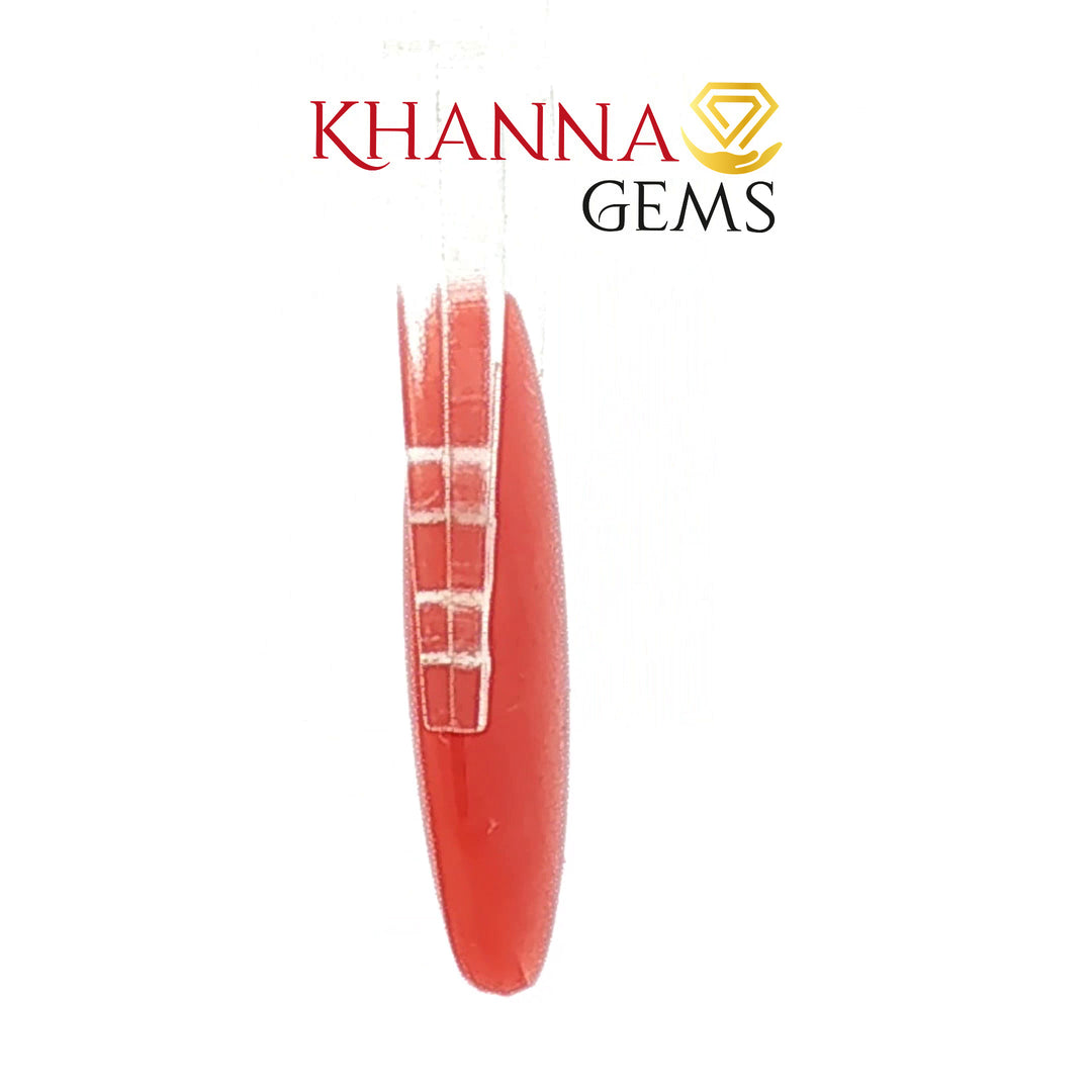 4.92/CT Natural Red Coral With Govt. Lab Certificate-13884S197972
