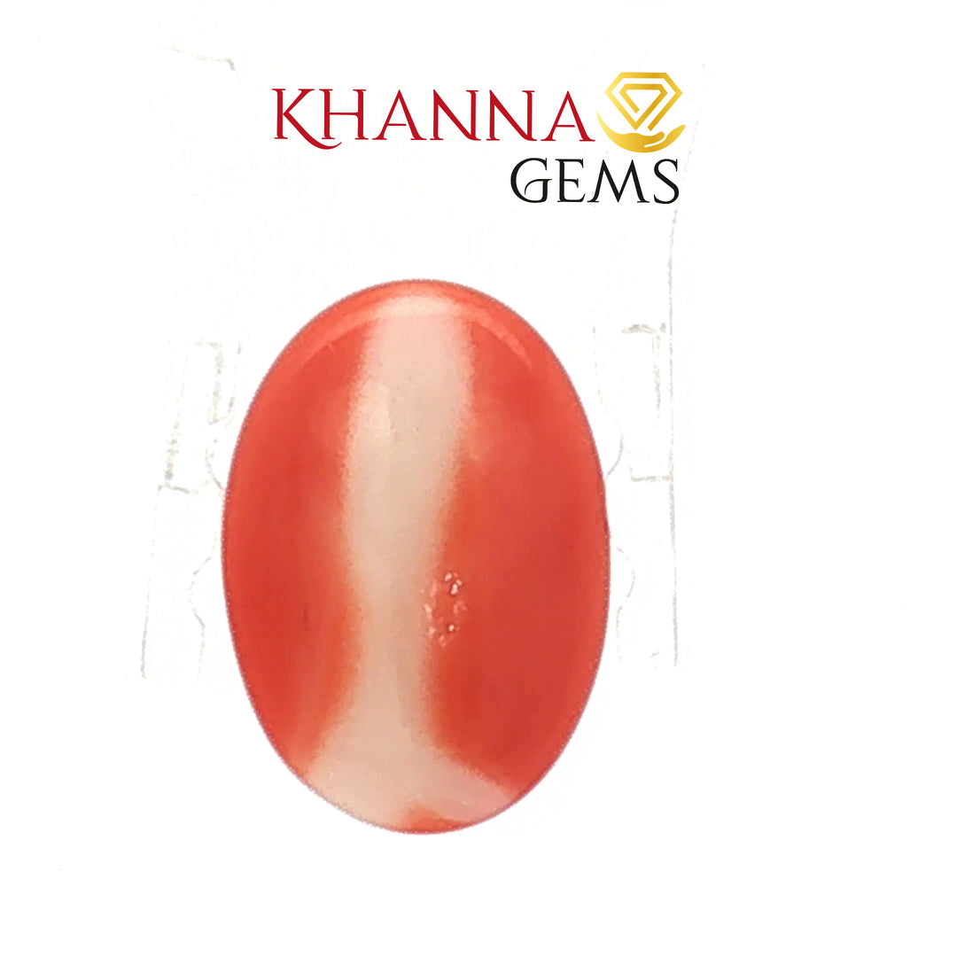 5.51/CT Natural Red Coral With Govt. Lab Certificate-13884S197974