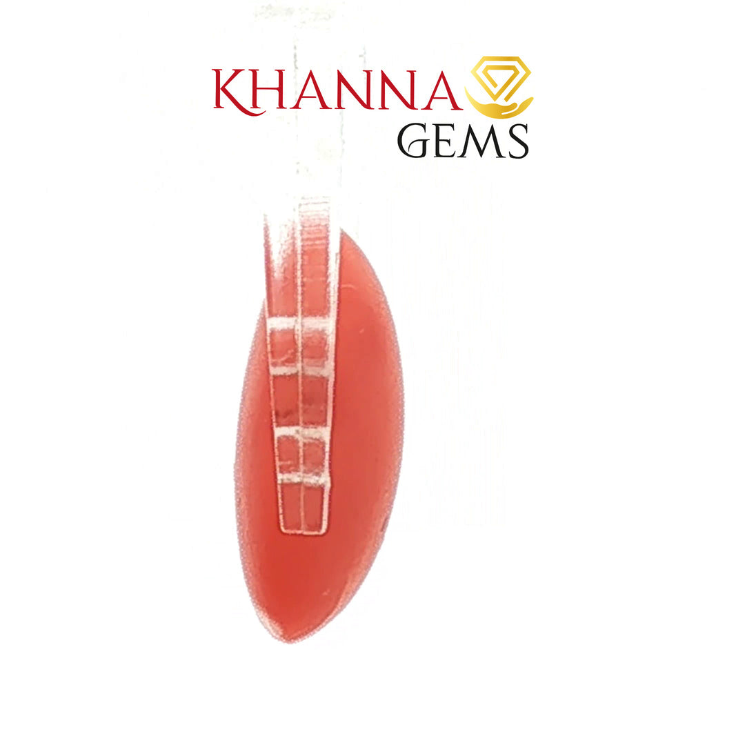 5.51/CT Natural Red Coral With Govt. Lab Certificate-13884S197974