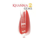 Load image into Gallery viewer, 6.54/CT Natural Red Coral With Govt. Lab Certificate-11006D44477