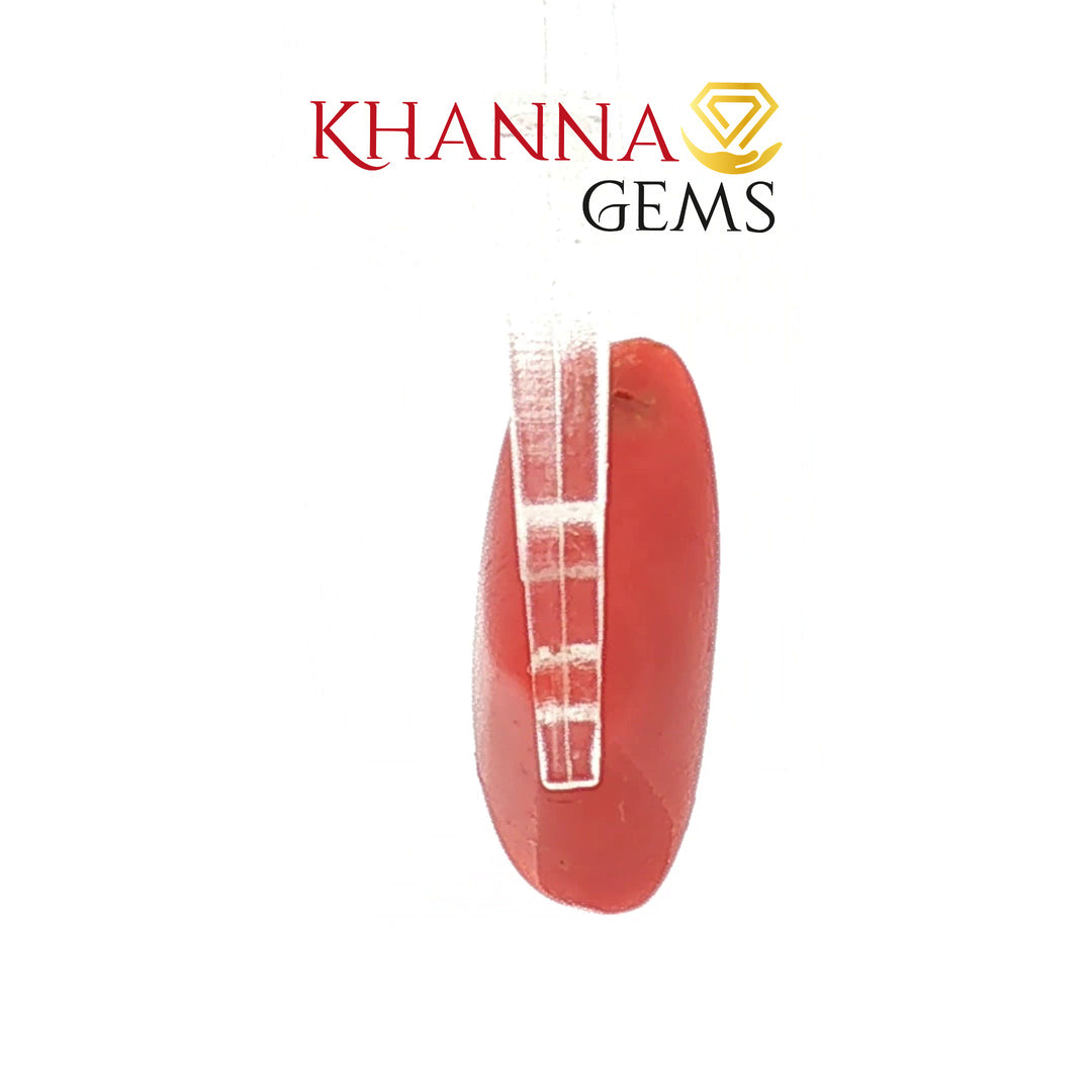 5.65/CT Natural Red Coral With Govt. Lab Certificate