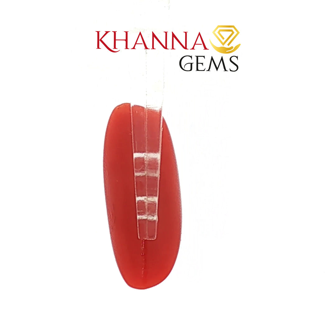 5.65/CT Natural Red Coral With Govt. Lab Certificate