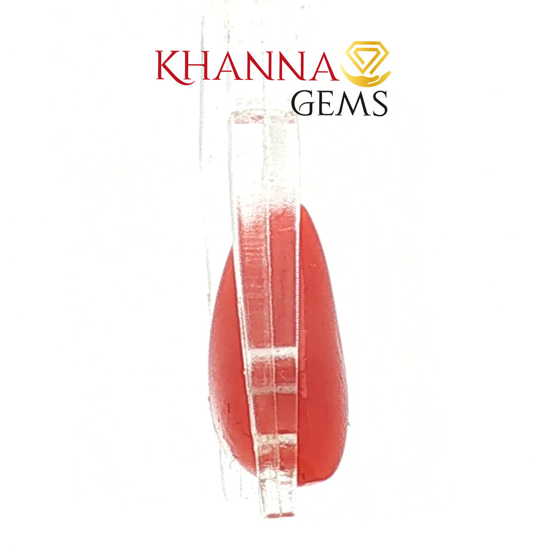 5.59/CT Natural Red Coral With Govt. Lab Certificate