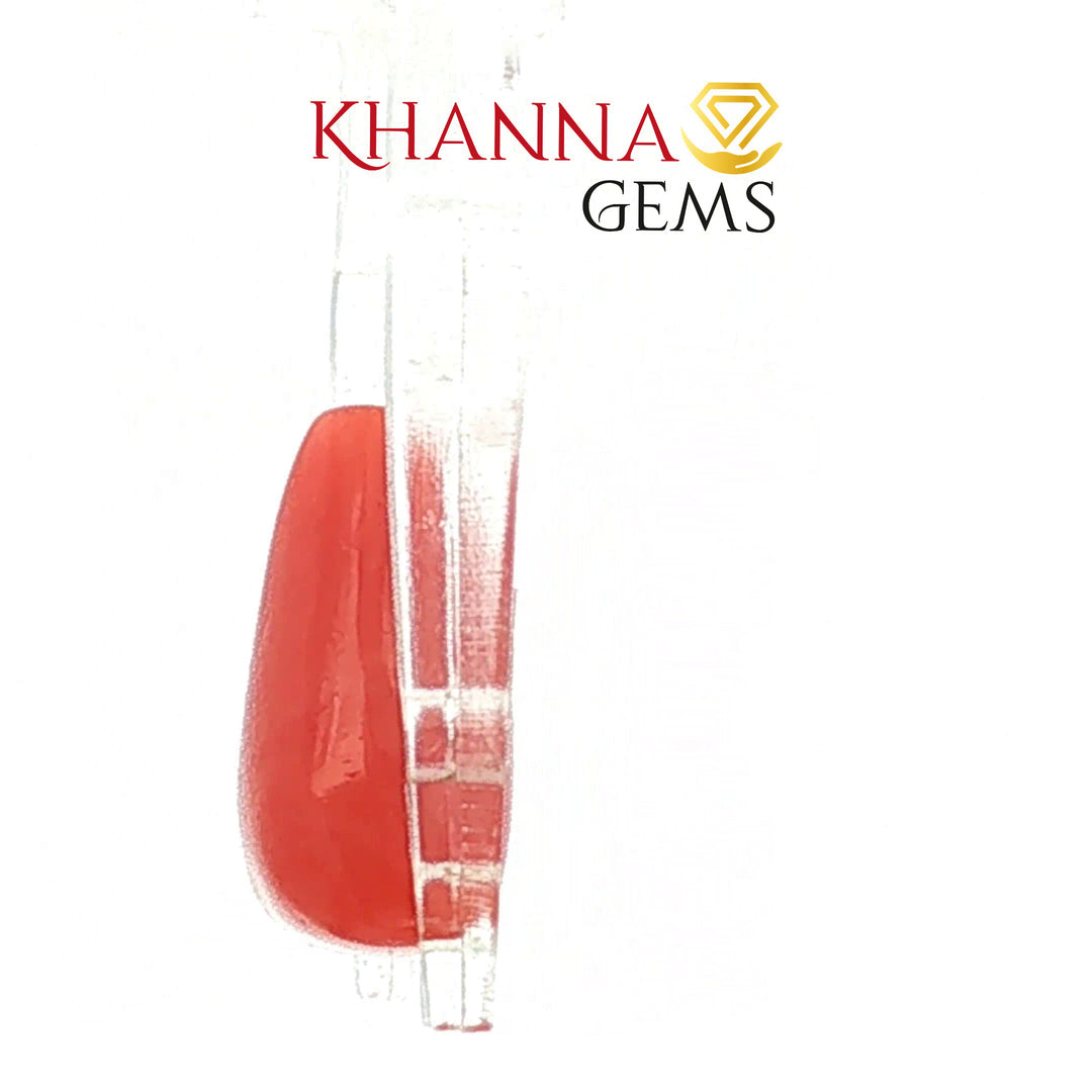 5.59/CT Natural Red Coral With Govt. Lab Certificate