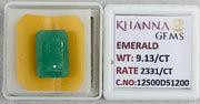 9.13/CT Natural Panna Stone with Govt. Lab Certificate-12500D51200